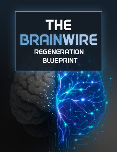 Bonus eBook cover: The Brainwire Regeneration Blueprint